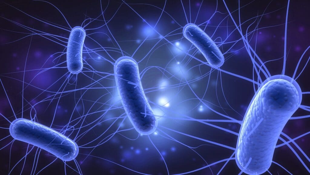 Ecoli-1024x577