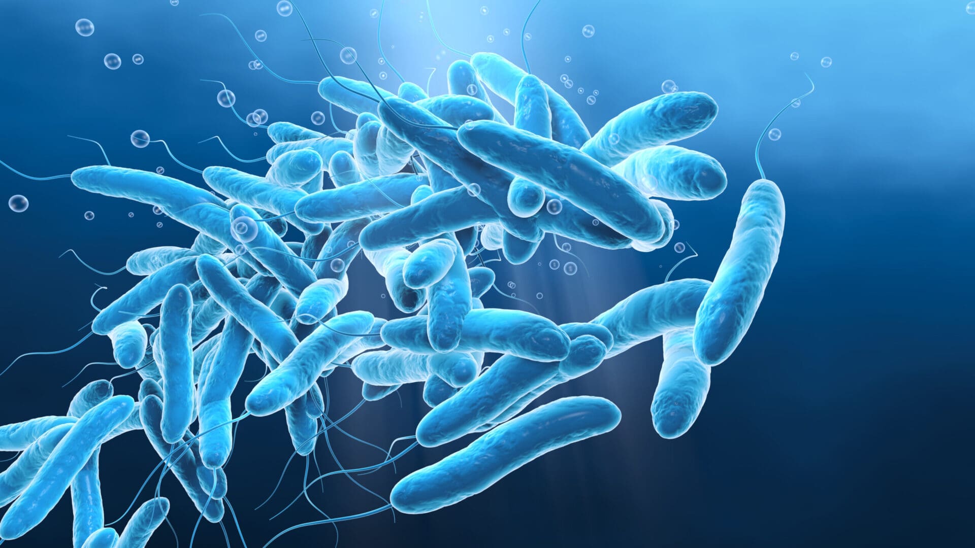 3d,Illustration,Showing,Legionella,Pneumophilia,Bacteria,In,Water
